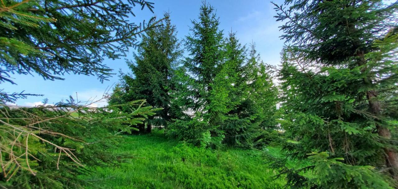 Mărişel Agropensiunea Mara المظهر الخارجي الصورة